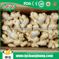 Chinese Air Dried Ginger with 30LBS(13.6kg)/carton